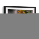 Going south - Ezdrifter | Cuadro decorativo de Canvas Lab