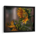 Going south - Ezdrifter | Cuadro decorativo de Canvas Lab