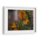 Going south - Ezdrifter | Cuadro decorativo de Canvas Lab