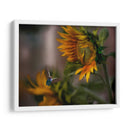 Going south - Ezdrifter | Cuadro decorativo de Canvas Lab