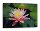 Grutas water lilly - Ezdrifter | Cuadro decorativo de Canvas Lab