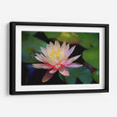 Grutas water lilly - Ezdrifter | Cuadro decorativo de Canvas Lab