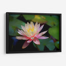 Grutas water lilly - Ezdrifter | Cuadro decorativo de Canvas Lab