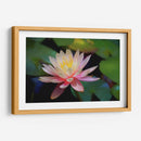 Grutas water lilly - Ezdrifter | Cuadro decorativo de Canvas Lab