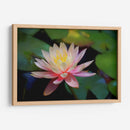 Grutas water lilly - Ezdrifter | Cuadro decorativo de Canvas Lab