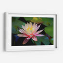 Grutas water lilly - Ezdrifter | Cuadro decorativo de Canvas Lab