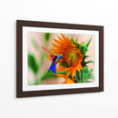 Hummingbird on sunflower - Ezdrifter | Cuadro decorativo de Canvas Lab