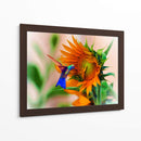 Hummingbird on sunflower - Ezdrifter | Cuadro decorativo de Canvas Lab