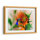 Hummingbird on sunflower - Ezdrifter | Cuadro decorativo de Canvas Lab