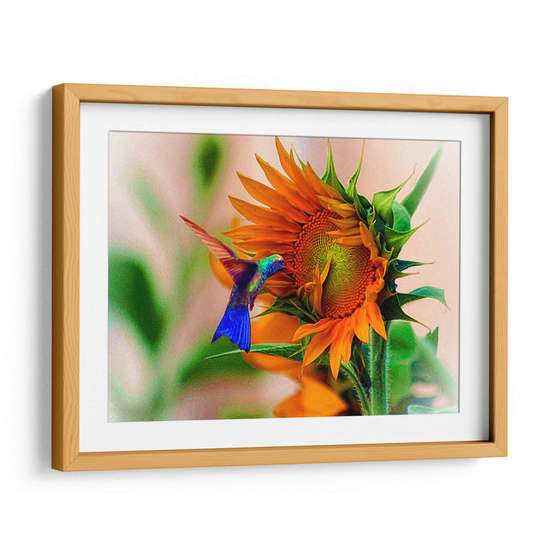 Hummingbird on sunflower - Ezdrifter | Cuadro decorativo de Canvas Lab