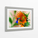 Hummingbird on sunflower - Ezdrifter | Cuadro decorativo de Canvas Lab