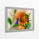 Hummingbird on sunflower - Ezdrifter | Cuadro decorativo de Canvas Lab