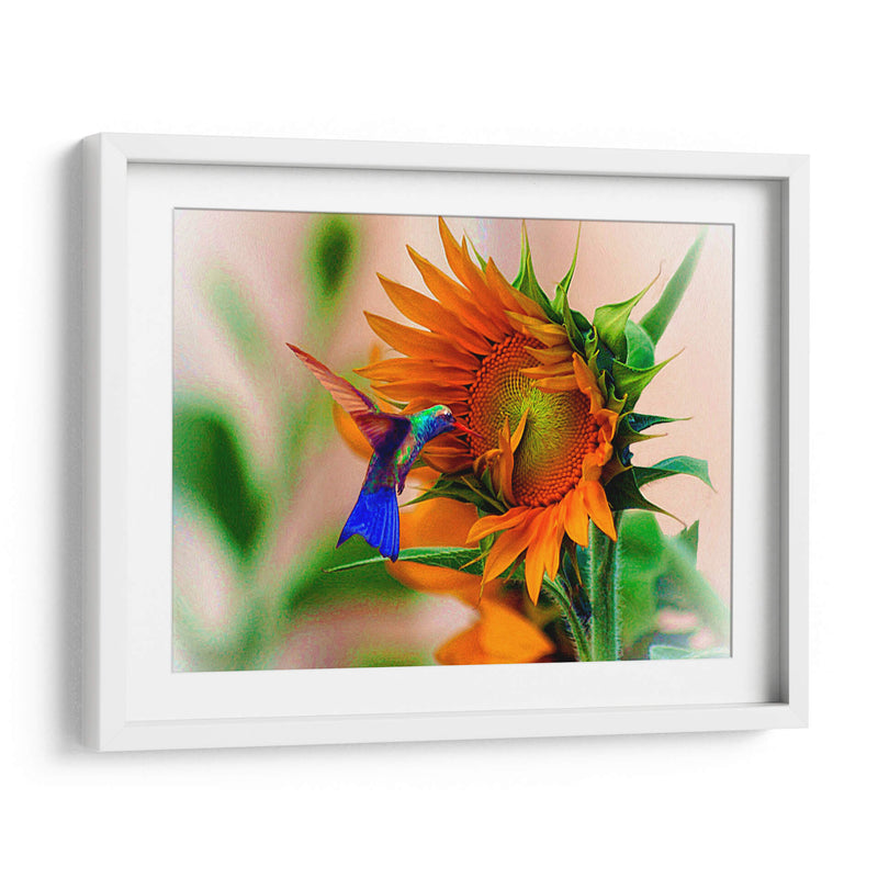 Hummingbird on sunflower - Ezdrifter | Cuadro decorativo de Canvas Lab