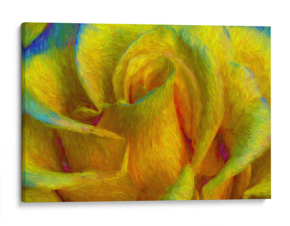 In memory of Vincent - Ezdrifter | Cuadro decorativo de Canvas Lab