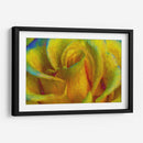 In memory of Vincent - Ezdrifter | Cuadro decorativo de Canvas Lab