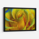 In memory of Vincent - Ezdrifter | Cuadro decorativo de Canvas Lab