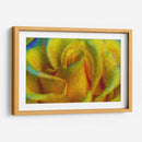 In memory of Vincent - Ezdrifter | Cuadro decorativo de Canvas Lab