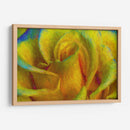 In memory of Vincent - Ezdrifter | Cuadro decorativo de Canvas Lab