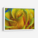 In memory of Vincent - Ezdrifter | Cuadro decorativo de Canvas Lab