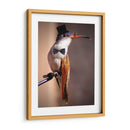 Little mister - Ezdrifter | Cuadro decorativo de Canvas Lab