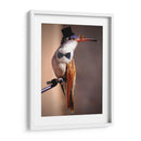 Little mister - Ezdrifter | Cuadro decorativo de Canvas Lab