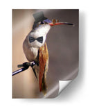 Little mister - Ezdrifter | Cuadro decorativo de Canvas Lab