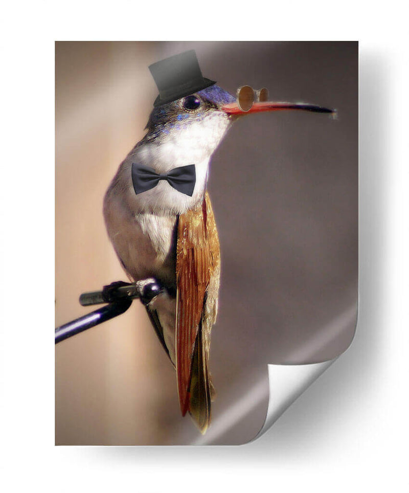 Little mister - Ezdrifter | Cuadro decorativo de Canvas Lab