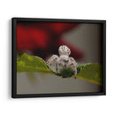 White spider - Ezdrifter | Cuadro decorativo de Canvas Lab