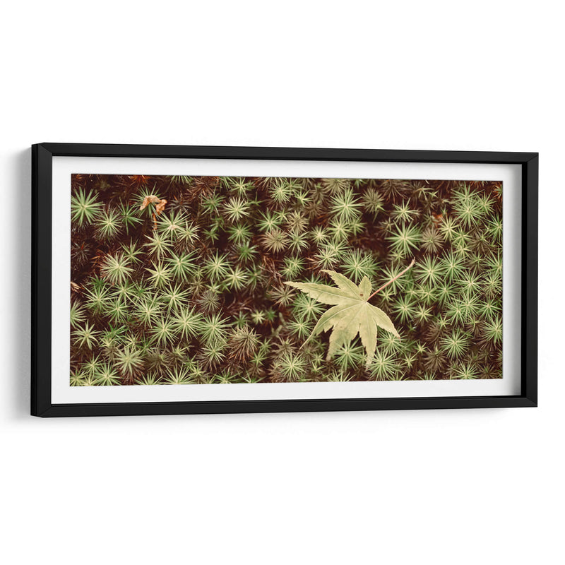 Hojas - Josué Altamira | Cuadro decorativo de Canvas Lab