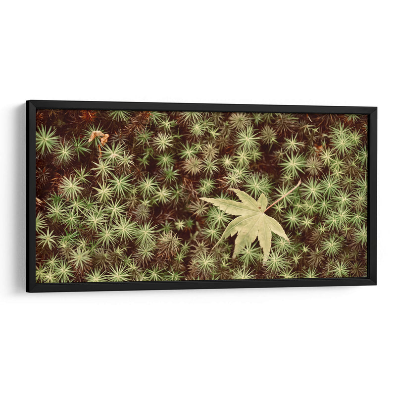 Hojas - Josué Altamira | Cuadro decorativo de Canvas Lab