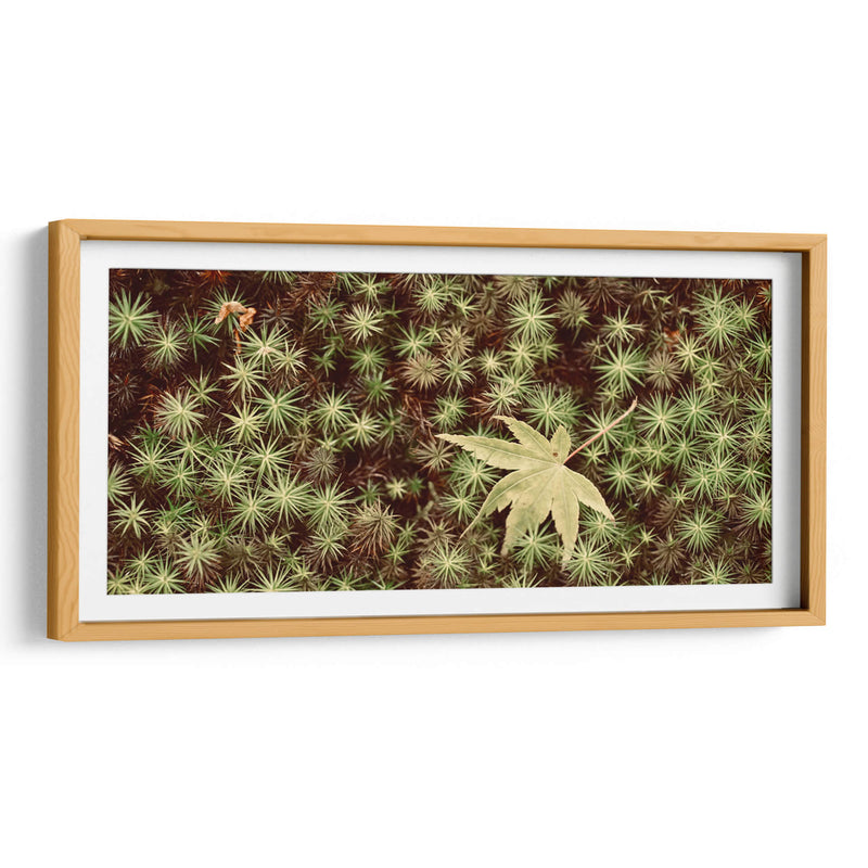 Hojas - Josué Altamira | Cuadro decorativo de Canvas Lab