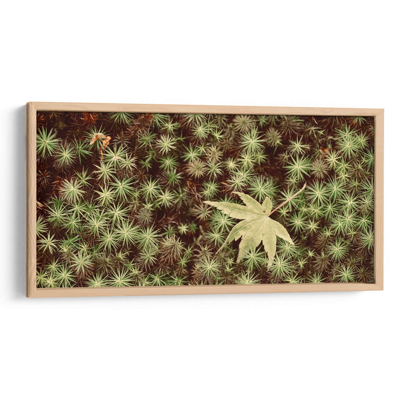 Hojas - Josué Altamira | Cuadro decorativo de Canvas Lab