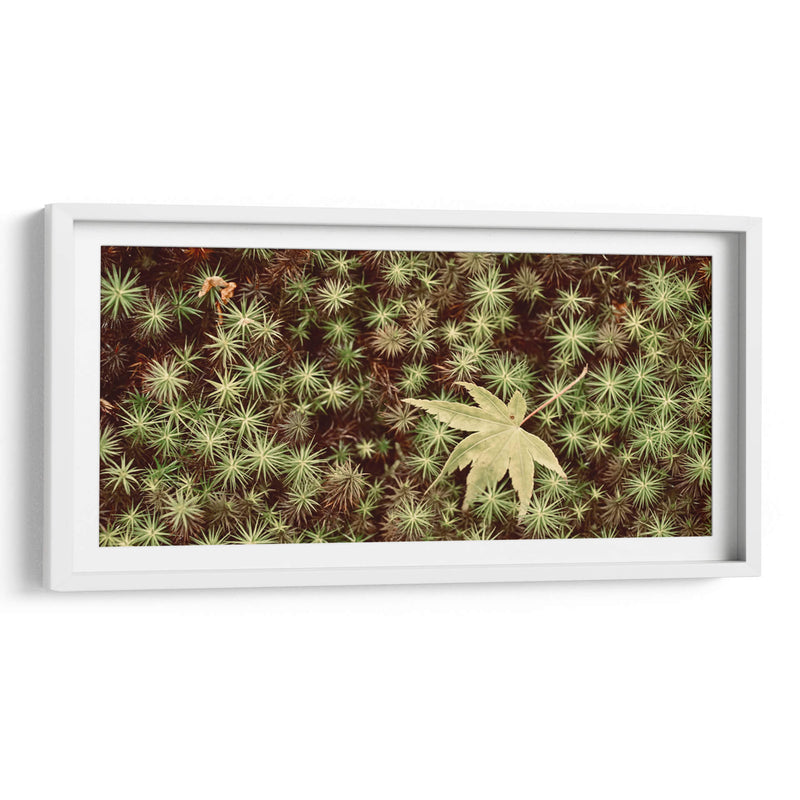 Hojas - Josué Altamira | Cuadro decorativo de Canvas Lab