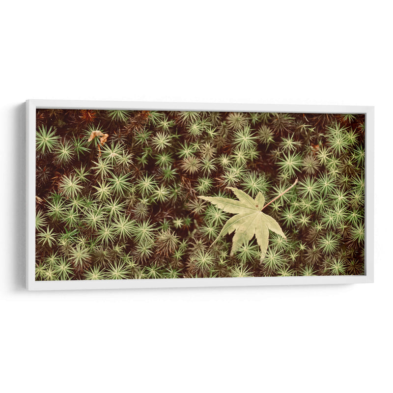 Hojas - Josué Altamira | Cuadro decorativo de Canvas Lab