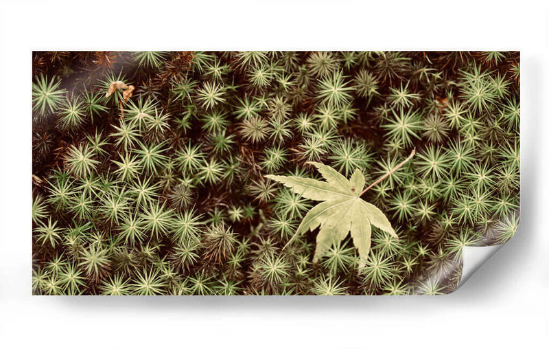 Hojas - Josué Altamira | Cuadro decorativo de Canvas Lab