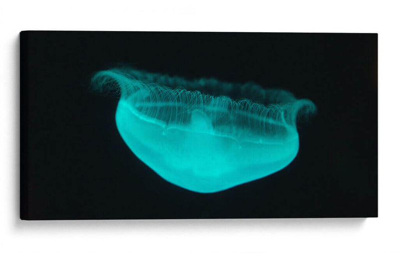 Medusa - Josué Altamira | Cuadro decorativo de Canvas Lab