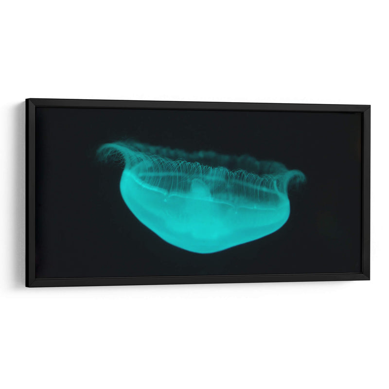 Medusa - Josué Altamira | Cuadro decorativo de Canvas Lab