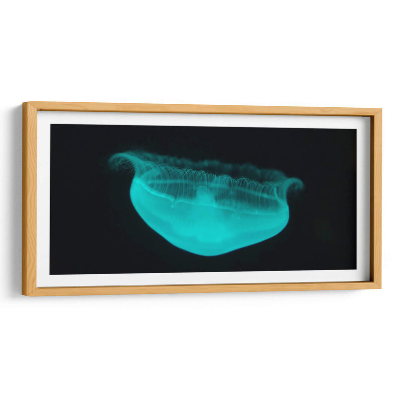 Medusa - Josué Altamira | Cuadro decorativo de Canvas Lab