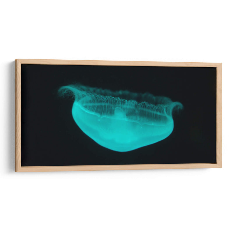 Medusa - Josué Altamira | Cuadro decorativo de Canvas Lab