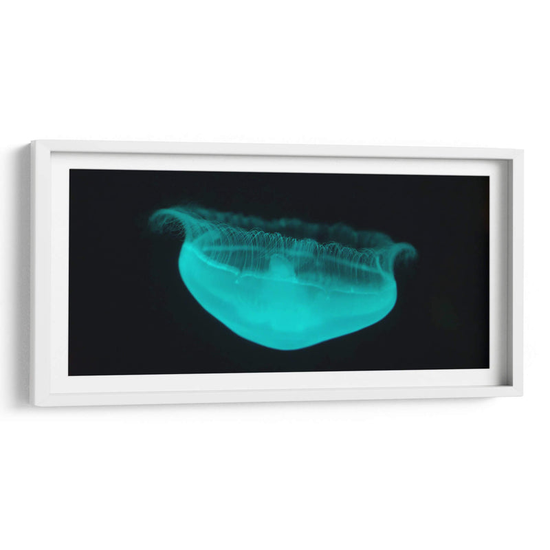 Medusa - Josué Altamira | Cuadro decorativo de Canvas Lab