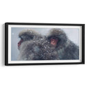 Snow Monkeys - Parque Jigokudani, Japón - Josué Altamira | Cuadro decorativo de Canvas Lab