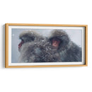 Snow Monkeys - Parque Jigokudani, Japón - Josué Altamira | Cuadro decorativo de Canvas Lab