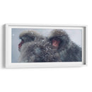Snow Monkeys - Parque Jigokudani, Japón - Josué Altamira | Cuadro decorativo de Canvas Lab
