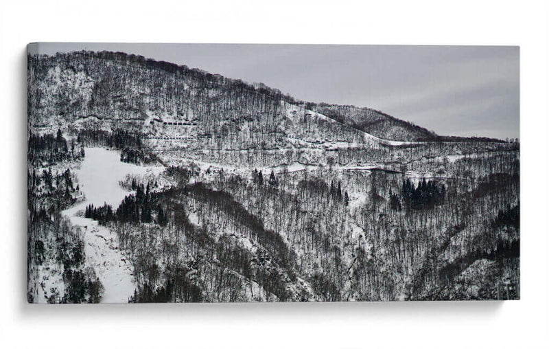 Yuzawa, Japón - Josué Altamira | Cuadro decorativo de Canvas Lab