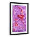 Efímera - Mauricio Silerio | Cuadro decorativo de Canvas Lab