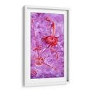 Efímera - Mauricio Silerio | Cuadro decorativo de Canvas Lab