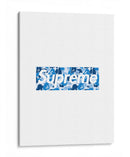 Bape X Sup Blue Box Logo | Cuadro decorativo de Canvas Lab