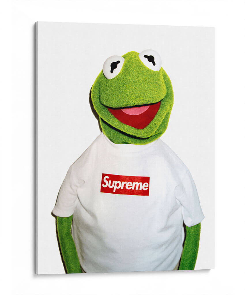 Kermit Sup | Cuadro decorativo de Canvas Lab