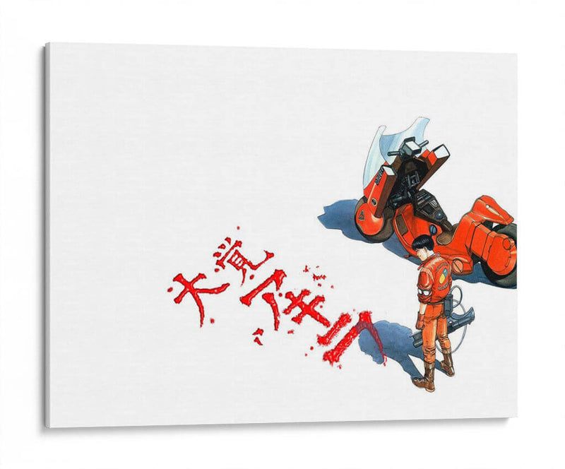 Raygun Akira | Cuadro decorativo de Canvas Lab