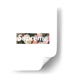 Roses Box Logo | Cuadro decorativo de Canvas Lab